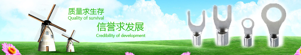 预绝缘冷压端头