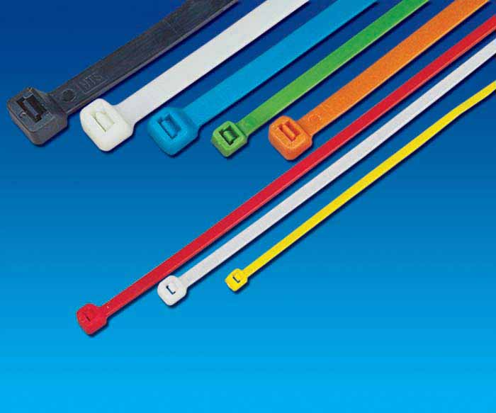 香港六六之家资料