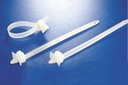 香港六六之家资料