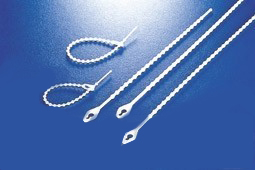 香港六六之家资料