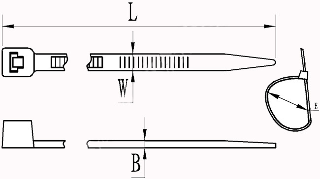 香港六六之家资料