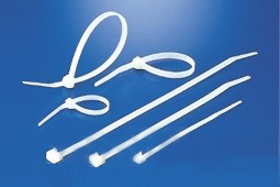 香港六六之家资料