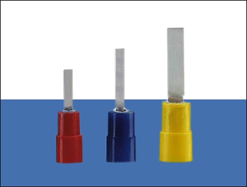 香港六六之家资料