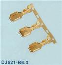 汽配端子  DJ621-B6.3